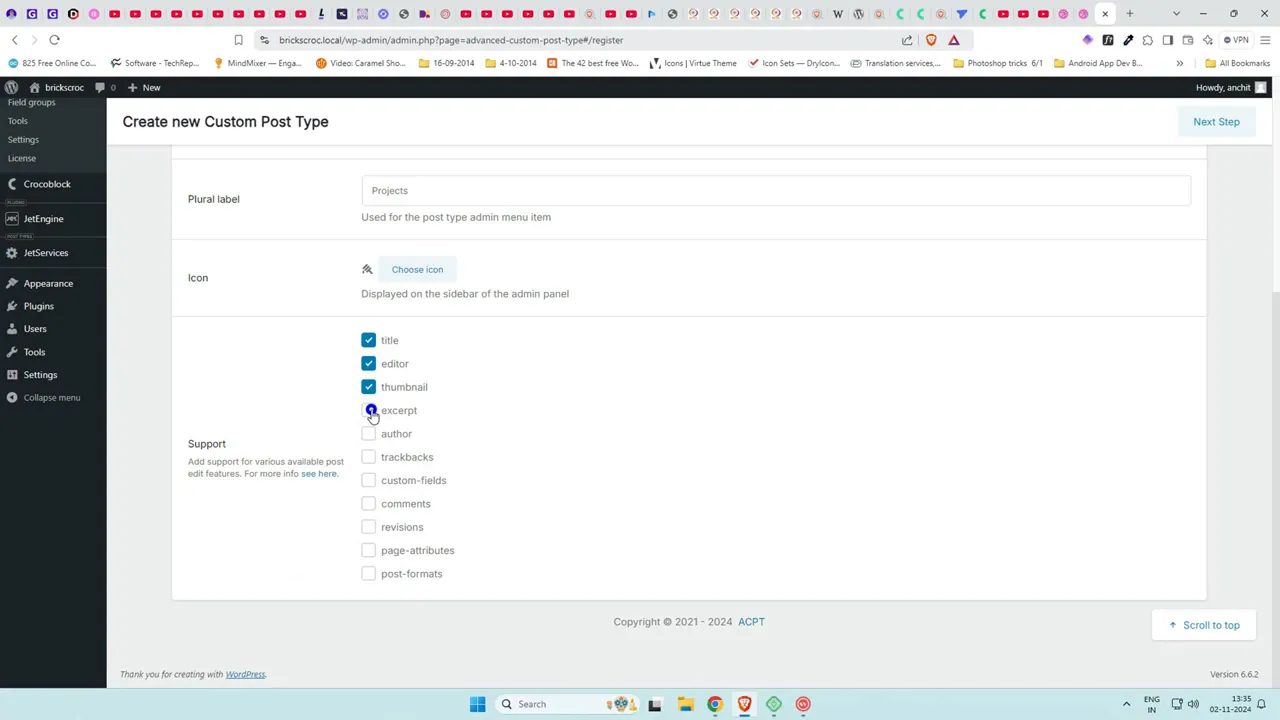 Naming custom post type 'Project' and setting plural 'Projects' in ACPT